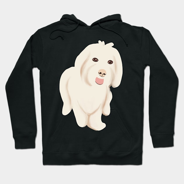 Cute Maltipoo Dog Hoodie by PatternbyNOK